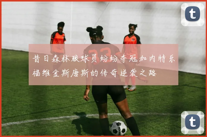 昔日森林狼球员纷纷夺冠加内特乐福维金斯唐斯的传奇逆袭之路